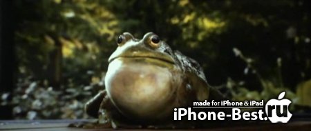     / Zookeeper [2011/TS] [iPhone/iPod Touch/iPad]