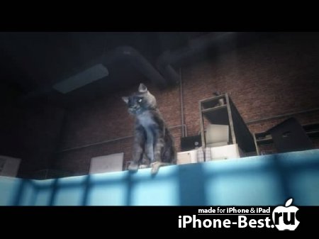  ! [UNCUT][2010/HDRip/iPhone/iPod Touch/iPad]