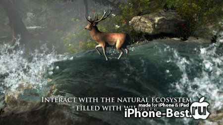 Nimian Legends : BrightRidge [1.0] [ipa/iPhone/iPod Touch/iPad]